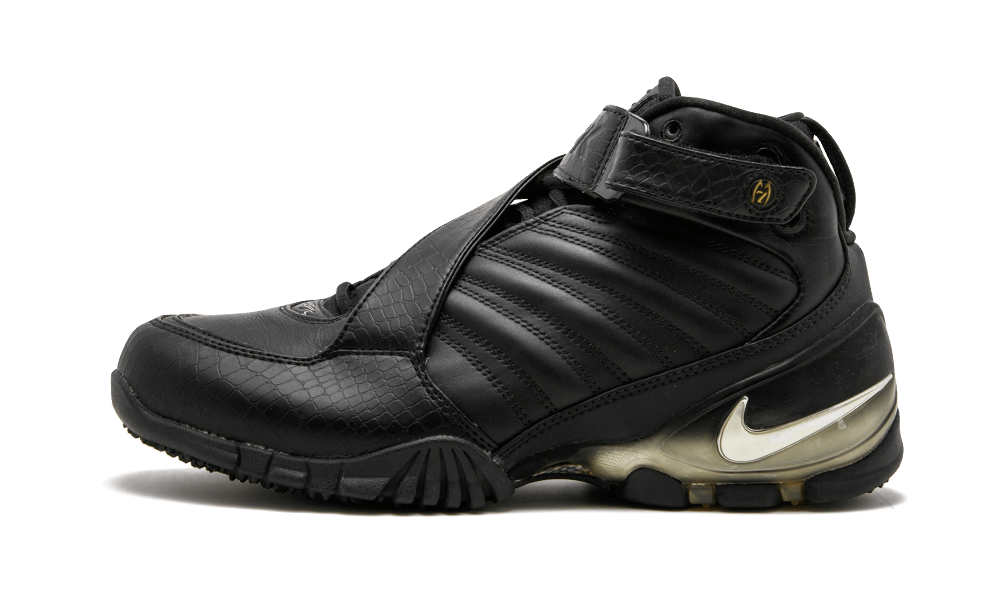 michael vick zoom 3