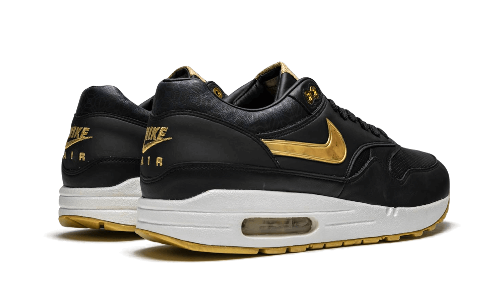 air max 1 premium sp