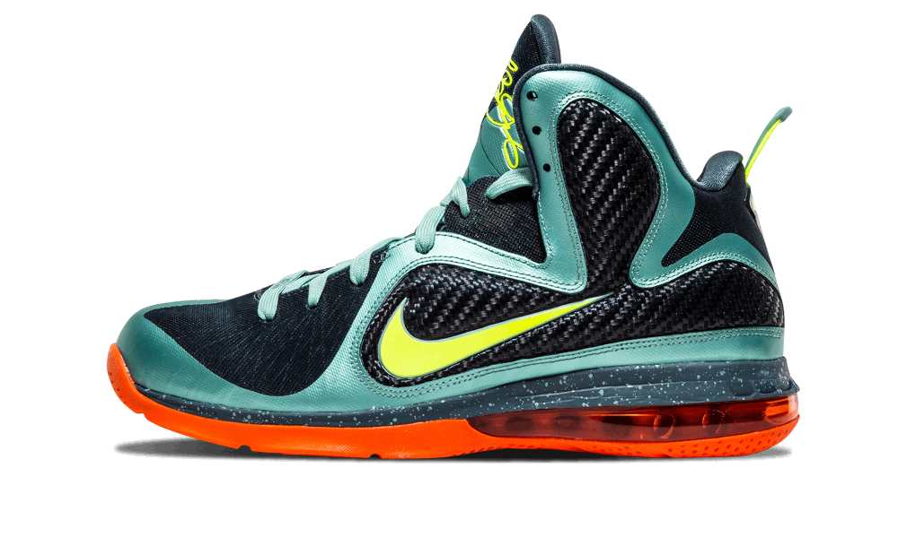 lebron 9 size 9.5