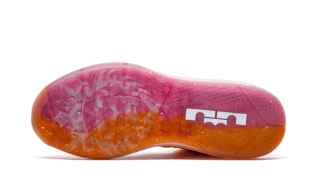 lebron 9 low floridian