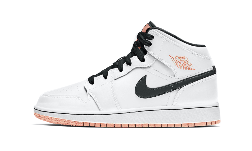 aj1 arctic punch