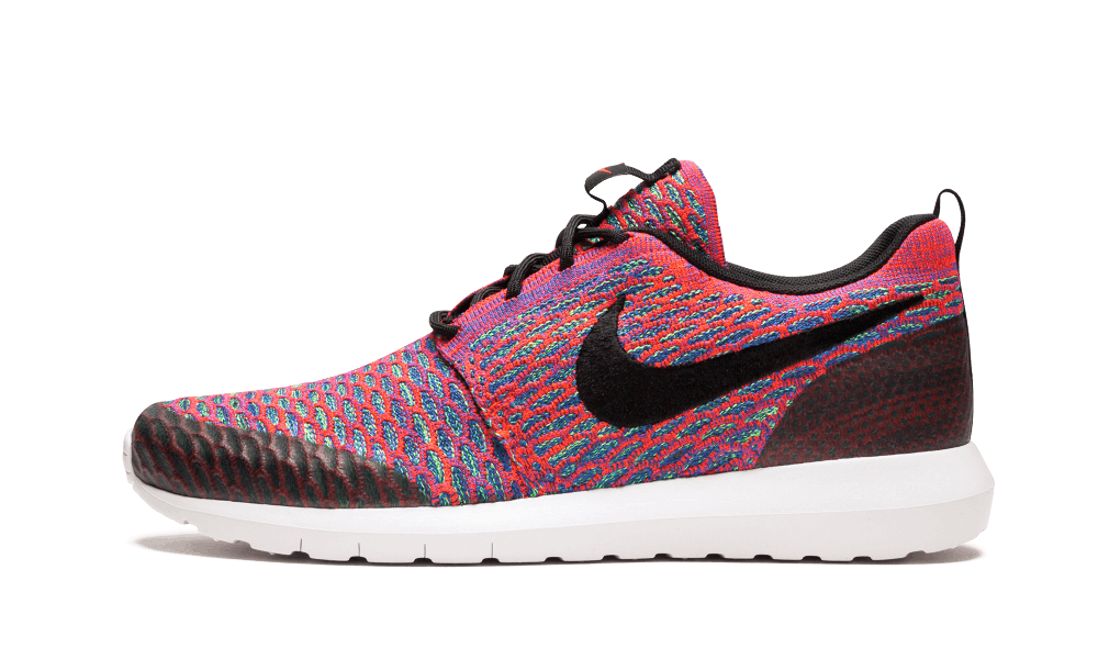 roshe nm flyknit se