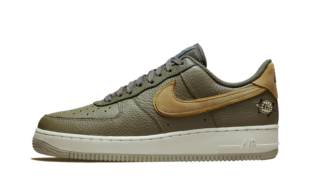air force 1 low turtle